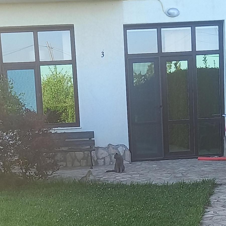 Villa Ketli Apartment Bliznatsi Dış mekan fotoğraf